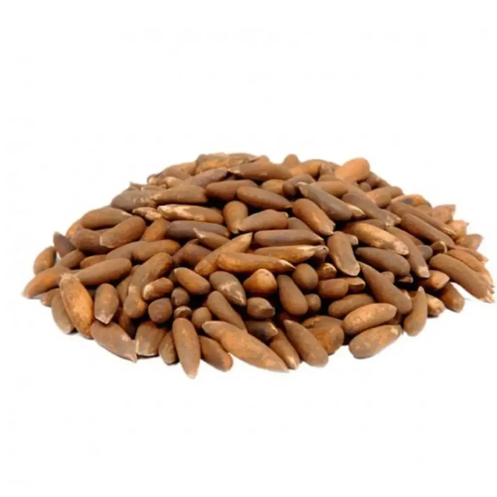 Pine Nuts